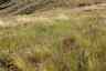 Pocatello Real Estate - MLS #581807 - Photograph #24