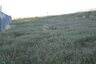 Pocatello Real Estate - MLS #581817 - Photograph #43