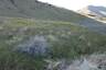 Pocatello Real Estate - MLS #581817 - Photograph #3