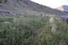 Pocatello Real Estate - MLS #581817 - Photograph #13