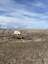Pocatello Real Estate - MLS #581854 - Photograph #8