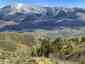 Pocatello Real Estate - MLS #582156 - Photograph #2