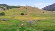 Pocatello Real Estate - MLS #582222 - Photograph #3