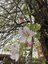 Pocatello Real Estate - MLS #582433 - Photograph #38