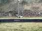 Pocatello Real Estate - MLS #582500 - Photograph #23