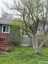 Pocatello Real Estate - MLS #582532 - Photograph #42
