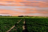 Pocatello Real Estate - MLS #582650 - Photograph #2