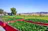 Pocatello Real Estate - MLS #582709 - Photograph #36