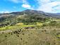 Pocatello Real Estate - MLS #582726 - Photograph #2