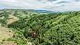 Pocatello Real Estate - MLS #582910 - Photograph #46