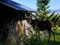 Pocatello Real Estate - MLS #583166 - Photograph #3