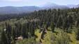 Pocatello Real Estate - MLS #583166 - Photograph #4