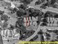 Pocatello Real Estate - MLS #583284 - Photograph #49