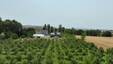 Pocatello Real Estate - MLS #583285 - Photograph #9