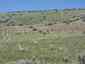 Pocatello Real Estate - MLS #583572 - Photograph #10