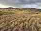 Pocatello Real Estate - MLS #583587 - Photograph #3
