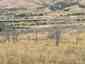 Pocatello Real Estate - MLS #583589 - Photograph #2