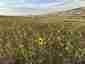 Pocatello Real Estate - MLS #583590 - Photograph #6