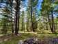 Pocatello Real Estate - MLS #583631 - Photograph #47