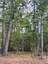 Pocatello Real Estate - MLS #583631 - Photograph #8