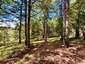 Pocatello Real Estate - MLS #583631 - Photograph #19