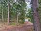 Pocatello Real Estate - MLS #583632 - Photograph #10