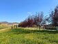 Pocatello Real Estate - MLS #583800 - Photograph #43