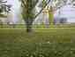 Pocatello Real Estate - MLS #583929 - Photograph #45